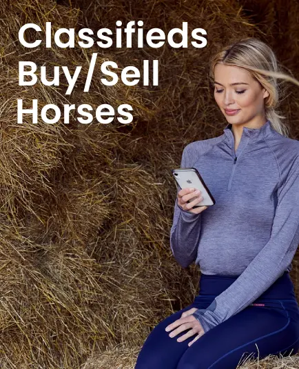 Explore the Harry Hall Classifieds